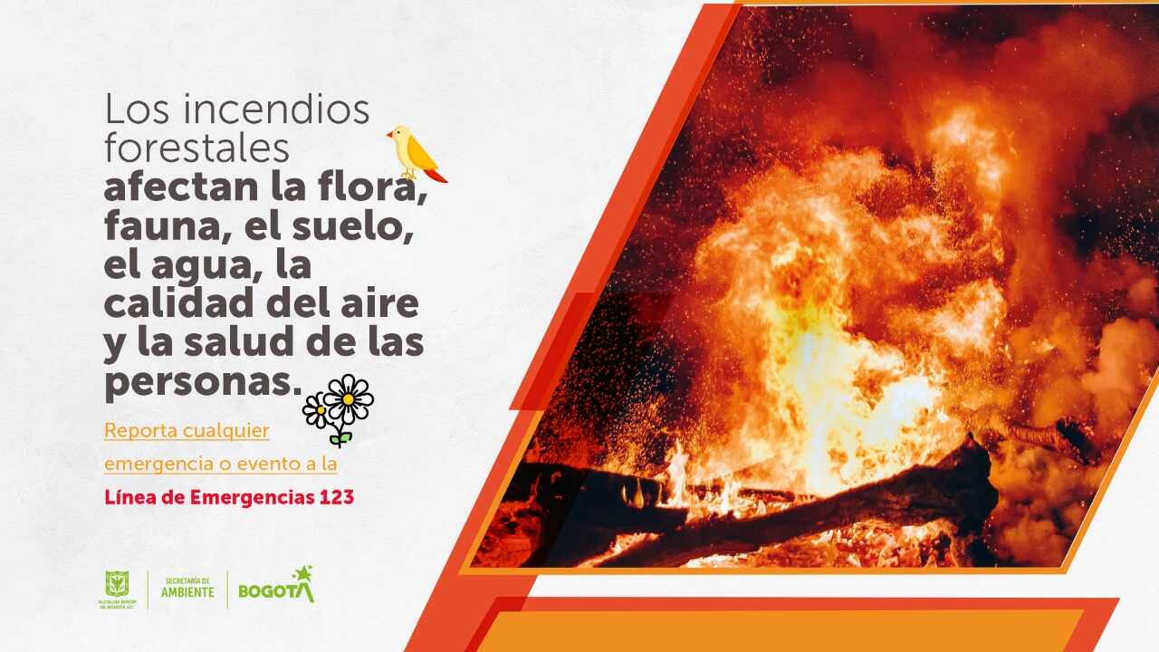 Todos podemos ayudar a prevenir los incendios forestales en Bogotá