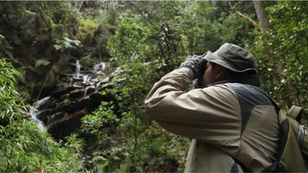 Caminatas Ecol Gicas Presenciales De Octubre En Bogot