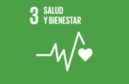 Imagen ícono ODS 3. Salud y Bienestar