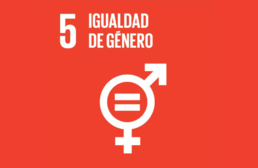Imagen ícono ODS 5. Igualdad de Género