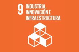 Imagen ícono ODS 9. Industria, Innovación e Infraestructura