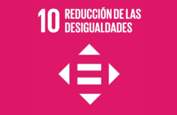 Imagen ícono ODS 10. Reducción de las desigualdades