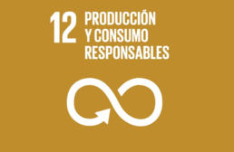 Imagen ícono ODS 12. Producción y Consumo Responsable