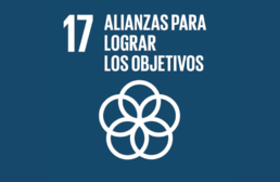 Imagen ícono ODS 17. Alianzas para lograr los objetivos