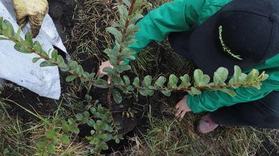 Pedagógicos y participativos