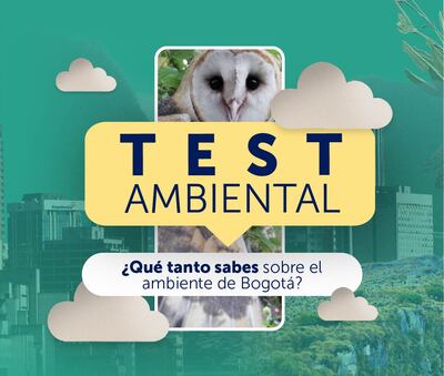 Ennlace Test Ambiental