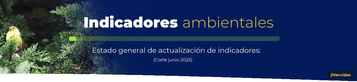 Estado de actualización de indicadores