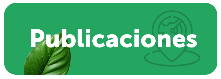 Publicaciones