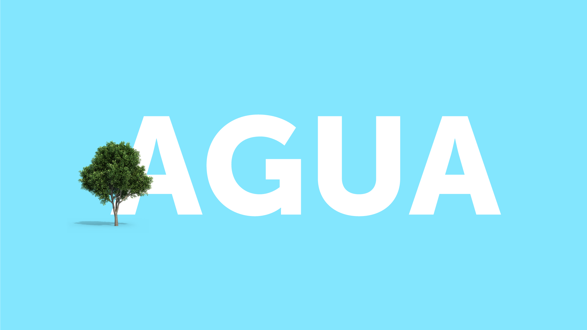 Informe del Estado de la Biodiversidad y los Recursos Naturales de Bogotá