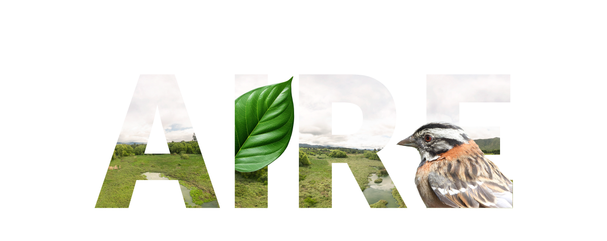 Logo AIRE