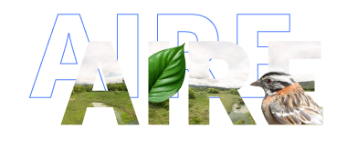 Logo Aire