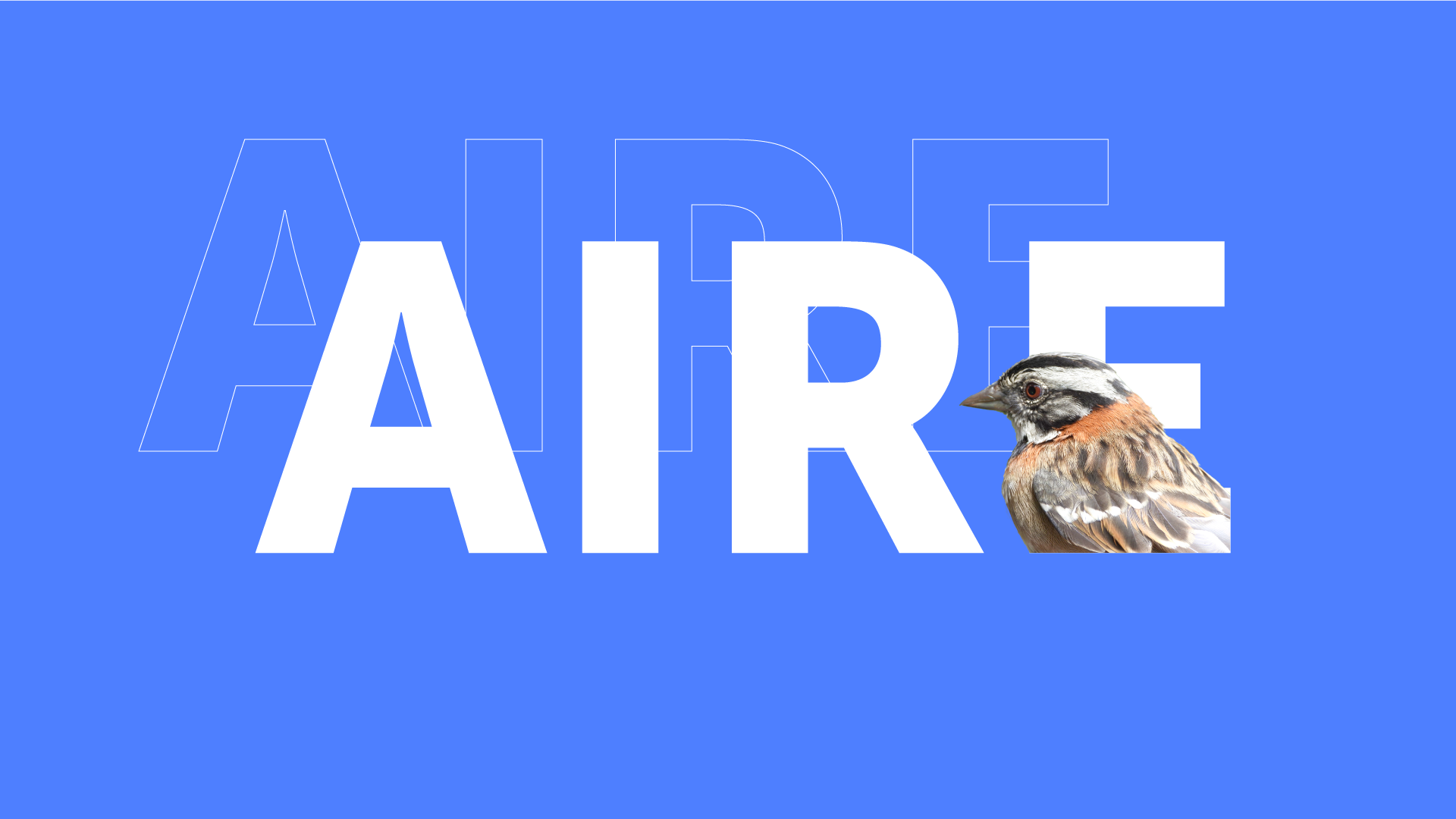 Informe del Estado de la Biodiversidad y los Recursos Naturales de Bogotá