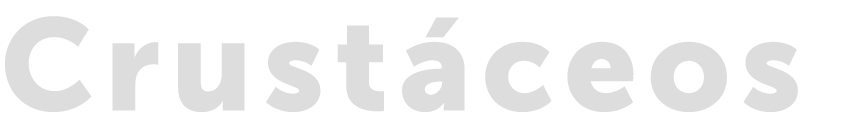 Crustaceos