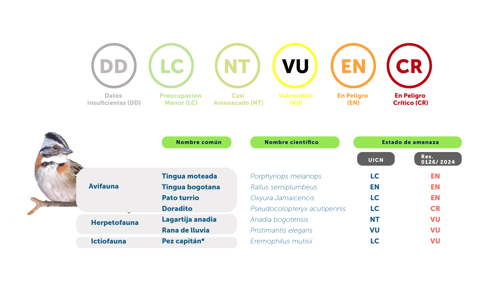 Gráfica de especies con algún grado de amenaza