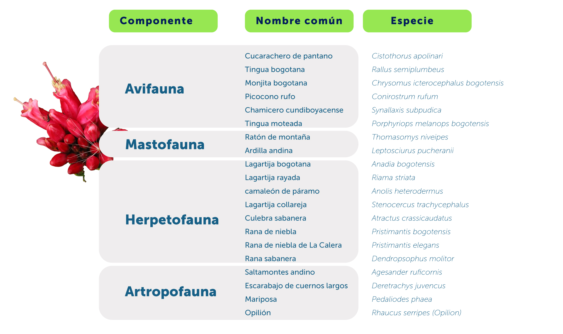 Gráfica de especies endémicas