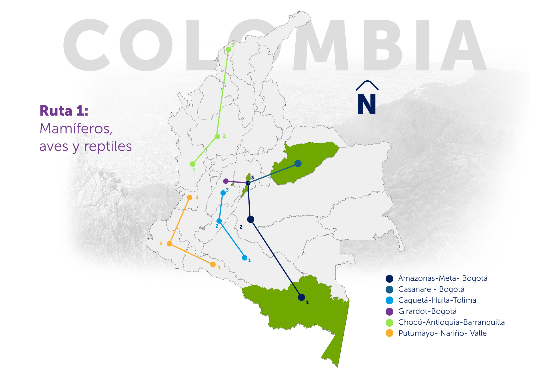 Mapa ruta 1 de tráfico ilegal de fauna silvestre