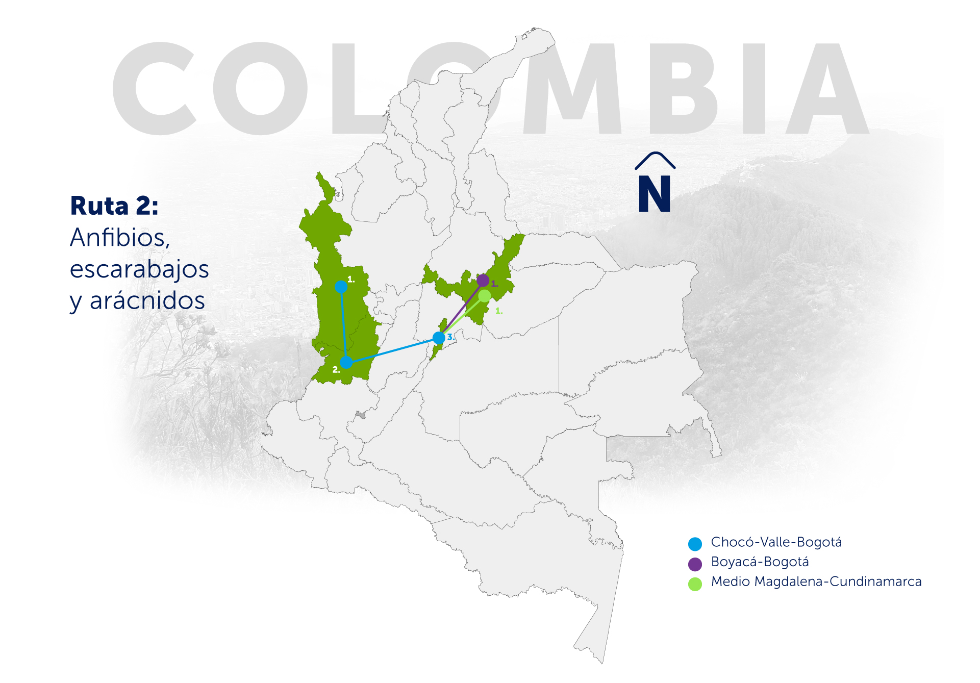 Mapa ruta 2 de tráfico ilegal de fauna silvestre