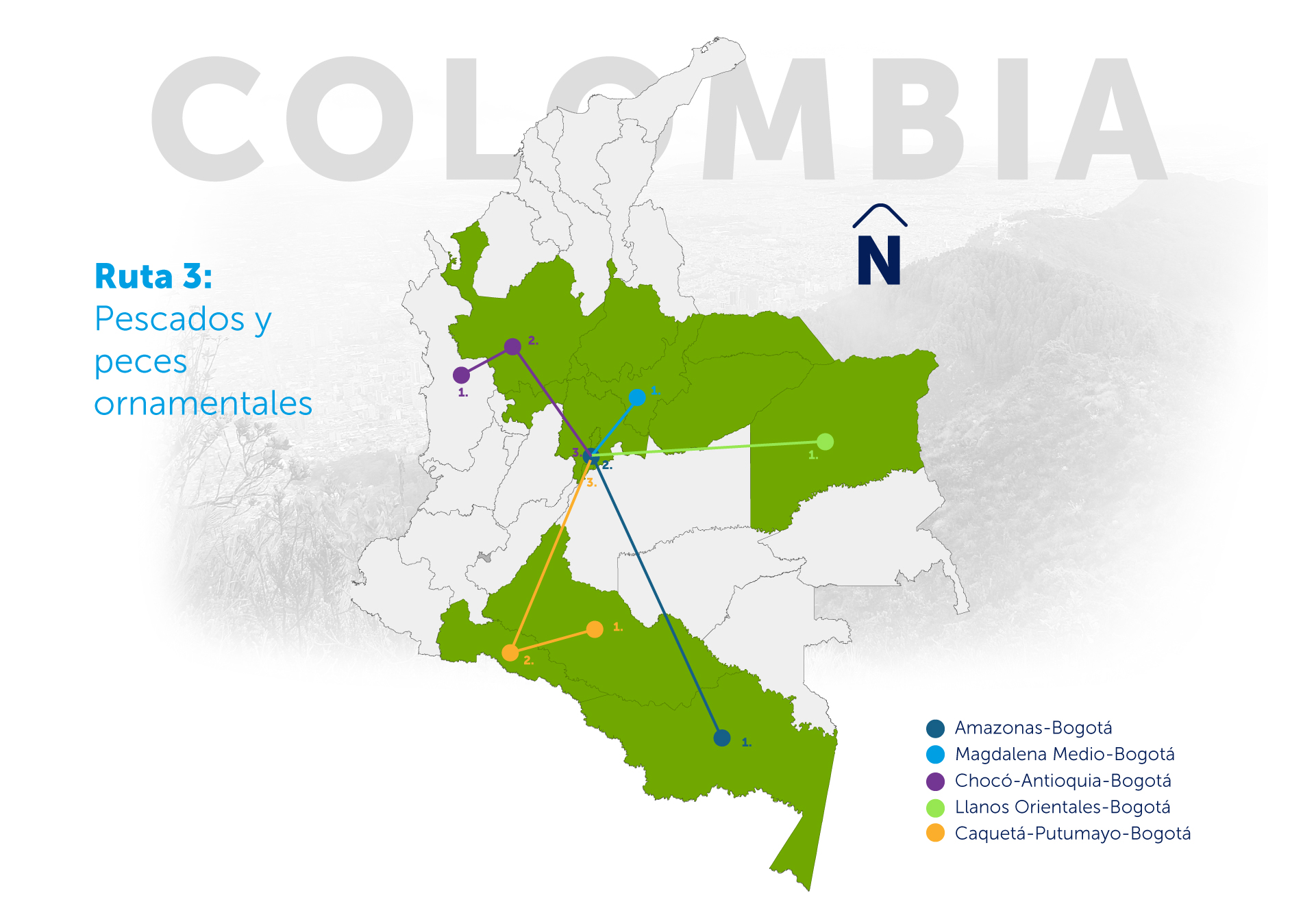 Mapa ruta 3 de tráfico ilegal de fauna silvestre