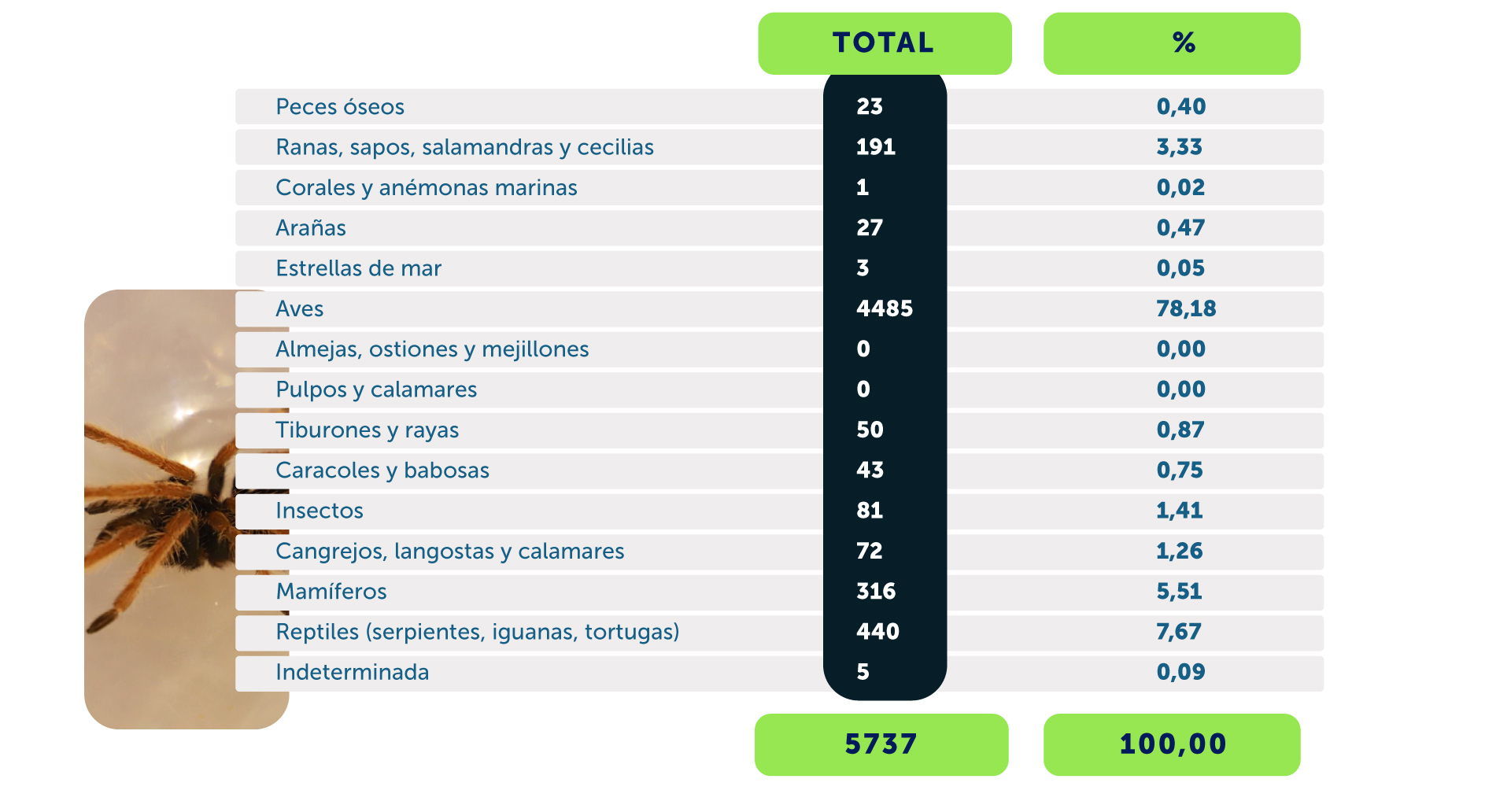 Tabla de especímenes recuperados
