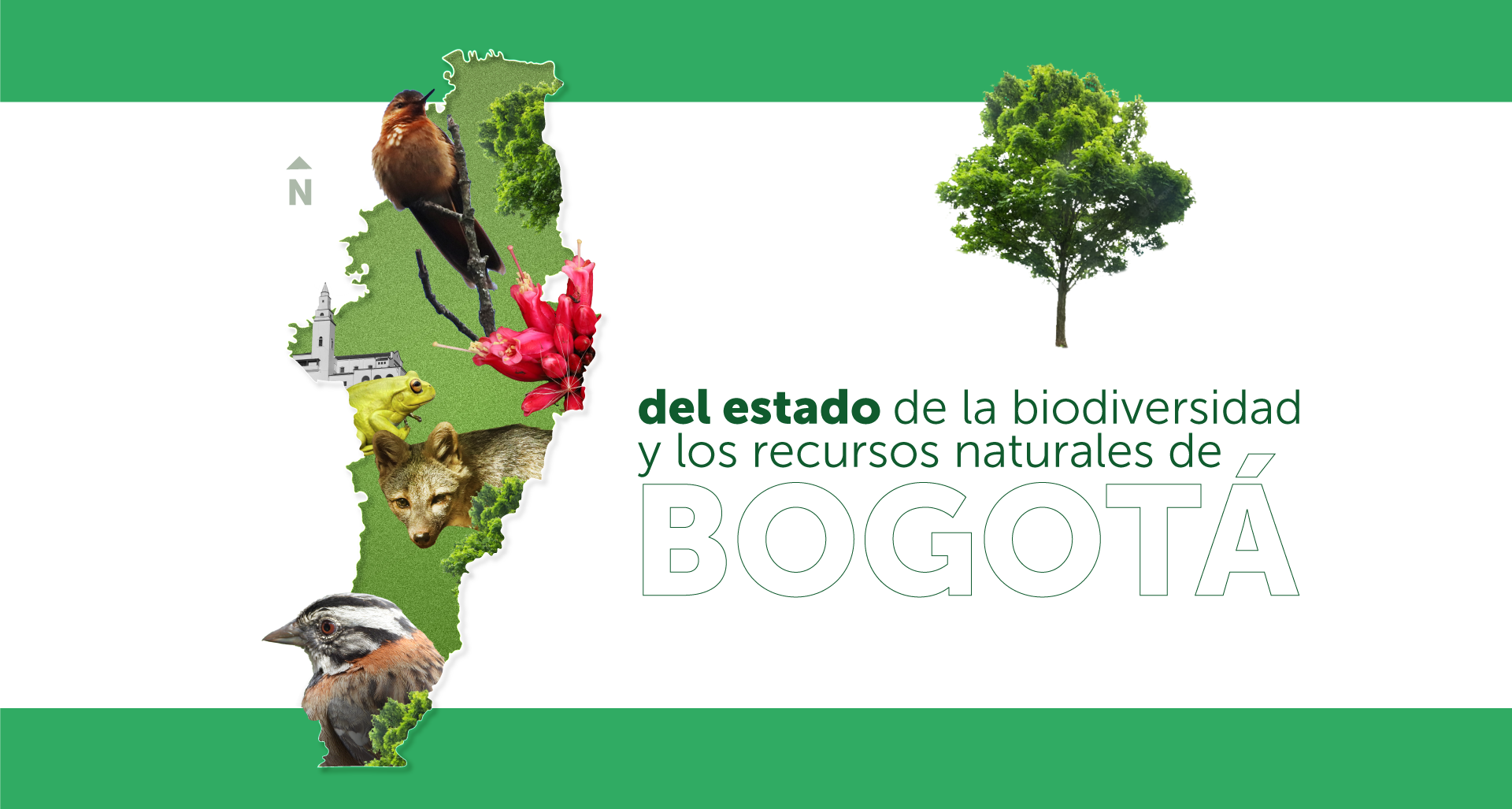 Informe del Estado de la Biodiversidad y los Recursos Naturales de Bogotá