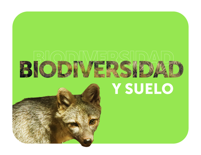 Biodiversidad