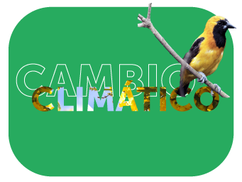 Cambio Climático