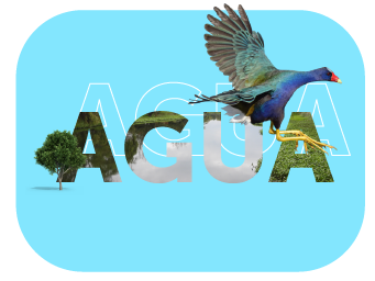 Agua