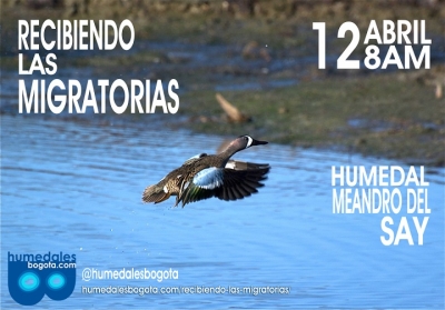 recibiendo_las_migratorias_humedales_bogot_.jpg