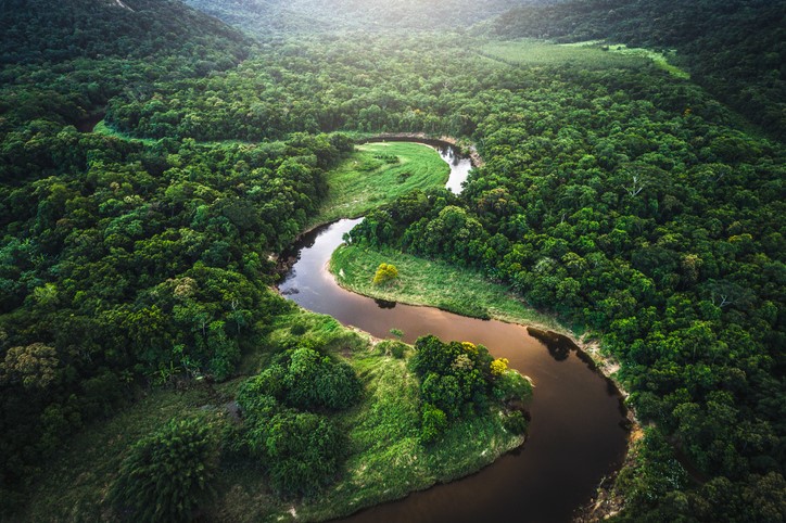 Protección Ambiental de Colombia.