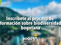 Proceso-Formación-Biodiversidad