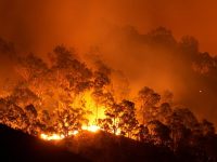 National Geographic Incendios Forestales