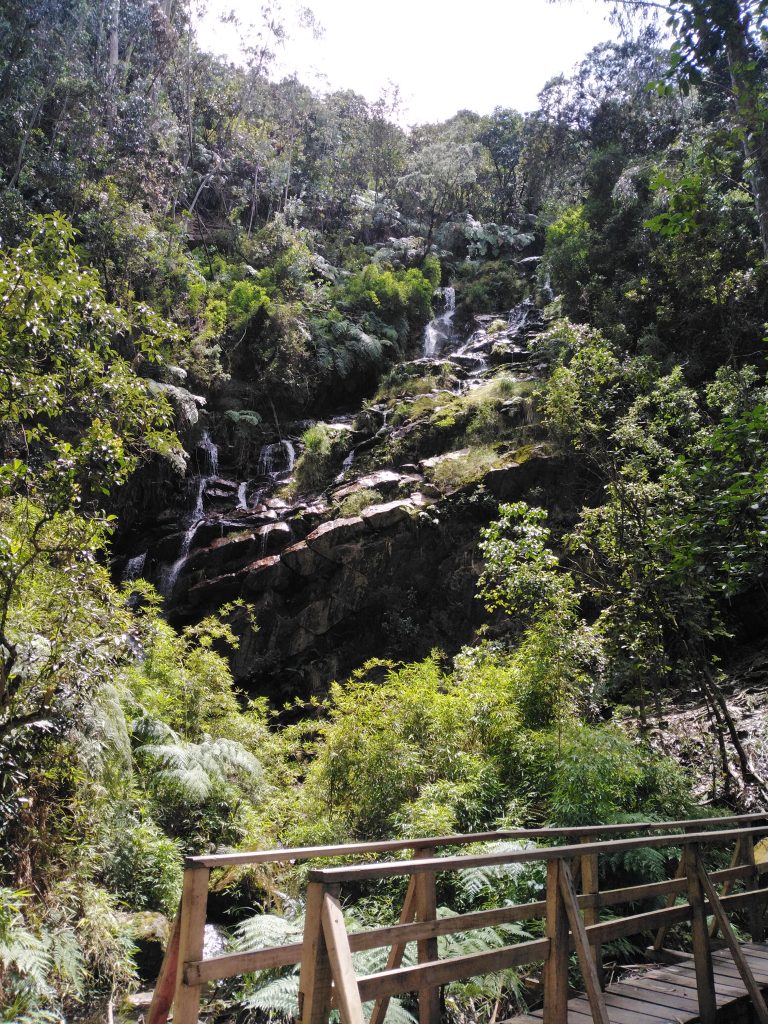 Quebrada Las Delicias 