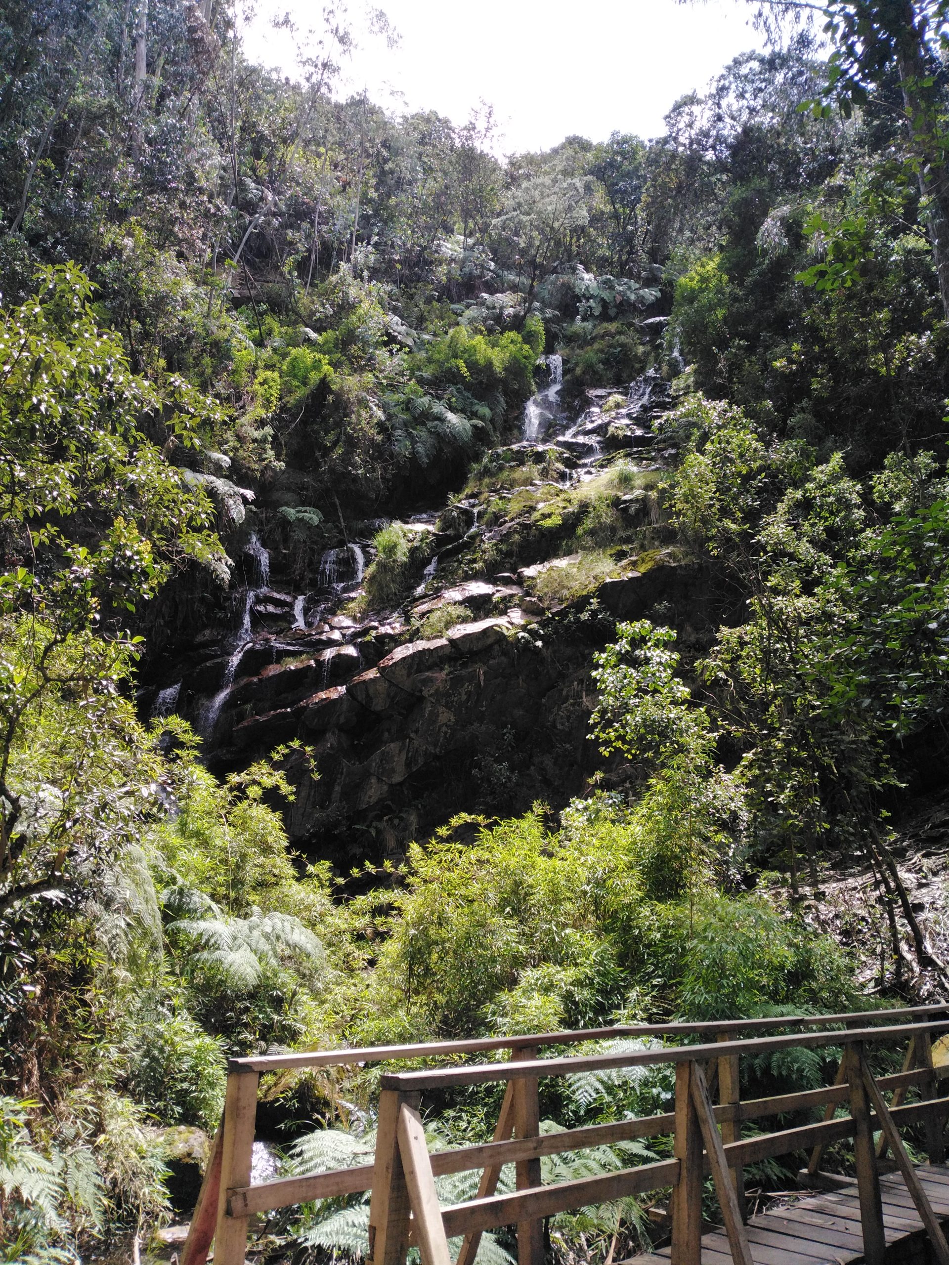 Quebrada Las Delicias: foto OPEL