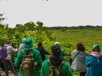 Consejo Consultivo de Ambiente: foto SDA