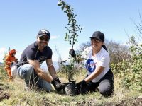 Mesa Distrital de Arbolado Urbano y Coberturas Vegetales: foto SDA