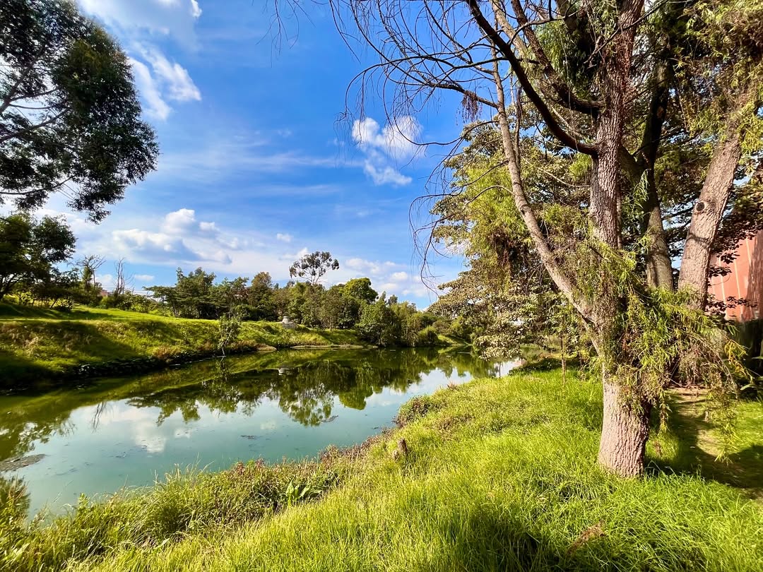 Mesa Distrital de Humedales: foto SDA