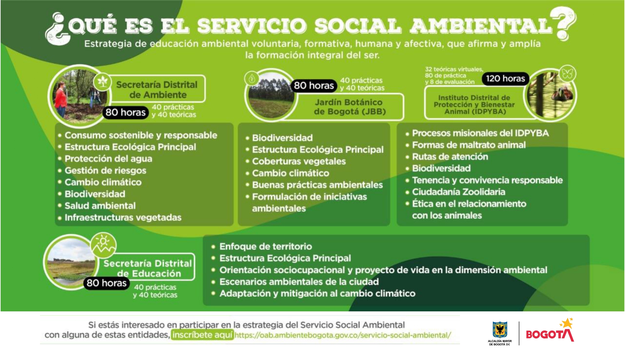 Entidades que ofertan el Servicio Social Ambiental