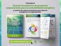 ‘Guía de formulación de proyectos empresariales para la sostenibilidad energética’
