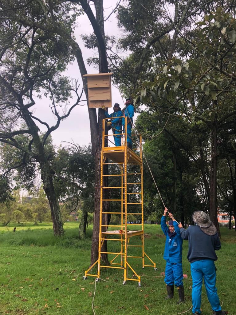 En el campus de la UNAL se instaló un piloto de los refugios que se ubicarán en el corredor ecológico del parque El Virrey, al norte de Bogotá. Fotos: ICN. Foto UNAL