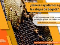Pieza IDPYBA. Adopción de panales de abejas en Bogotá