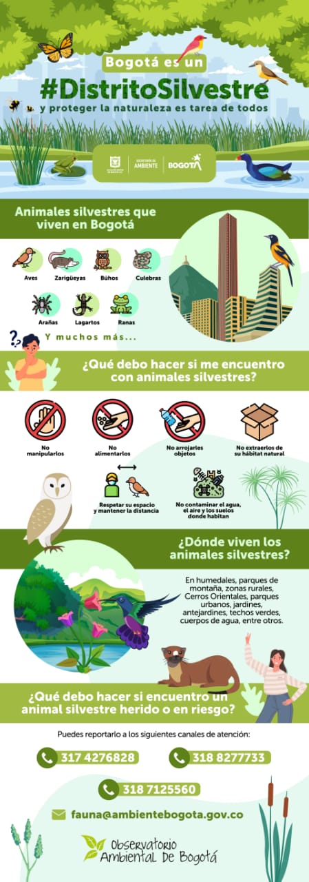Infografía sobre Fauna Silvestre en Bogotá