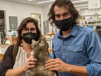 Los paleontólogos Mónica Carvalho y Jeff Wilson con la vértebra del nuevo dinosaurio 'Perijasaurus lapaz' en la Universidad de Michigan. (Cortesía)