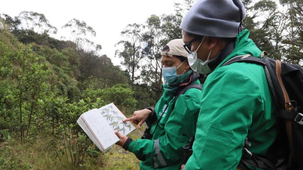 Metodologías para hacer monitoreos de fauna en Bogotá. Foto SDA