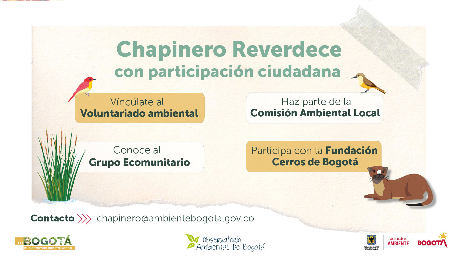 Instancias de participación Chapinero 