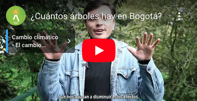 ¿Cuántos árboles hay en Bogotá?