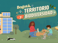 Bogotá: Territorio y biodiversidad. Pieza SED