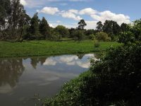 Humedal La Conejera . Plan de Manejo Ambiental