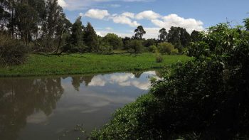 Humedal La Conejera . Plan de Manejo Ambiental