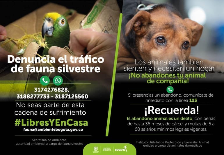 Protección de los animales en Bogotá. Pieza SDA