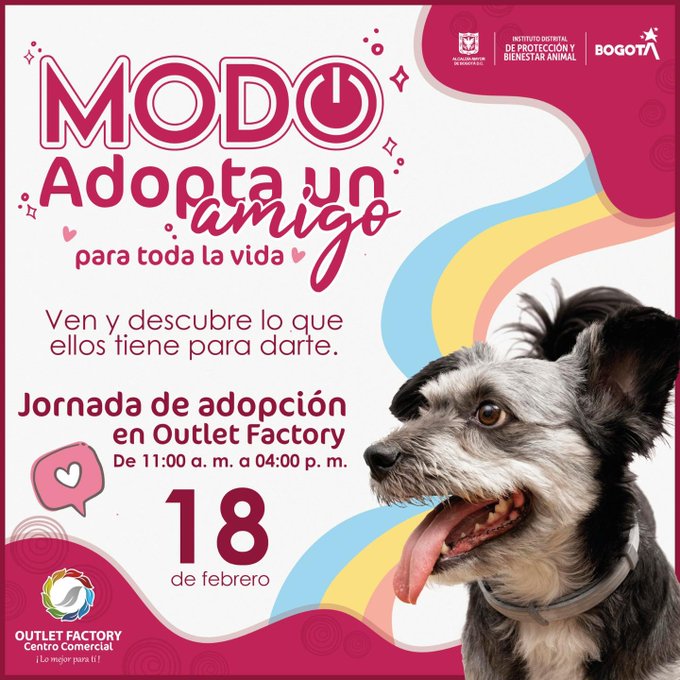 Adopción de perros y gatos en Bogotá. 2023. Pieza IDPYBA